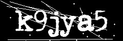 图形验证码
